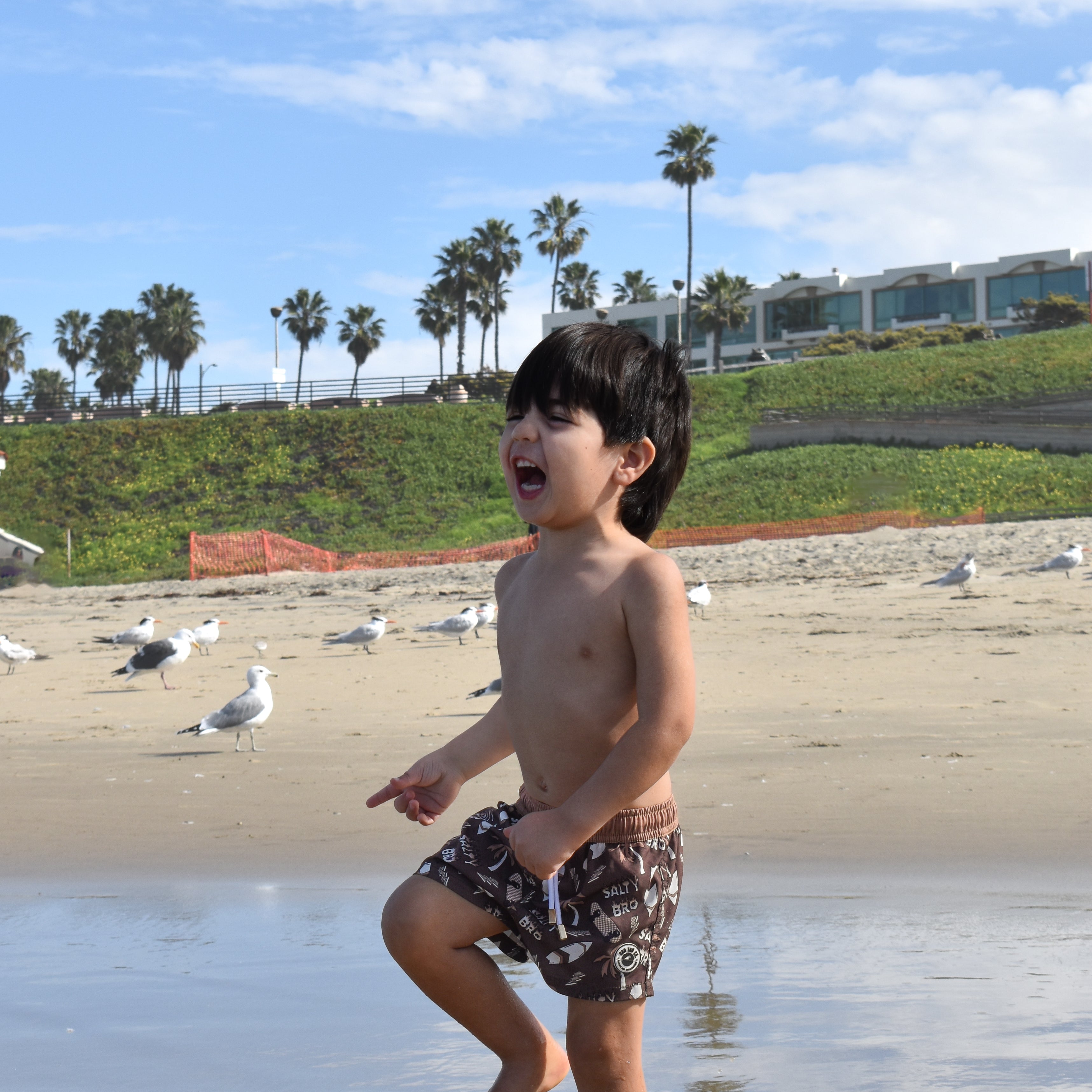 Child playing on a beach with seagulls and palm trees in the background while wearing Salty Bro Shorts by Rad Toddler