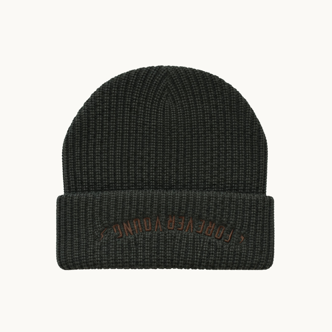 A dark charcoal gray ribbed knit beanie with a folded cuff, featuring the brand name 'FOREVER YOUNG' embroidered in brown on the front cuff, set against a plain off-white background.