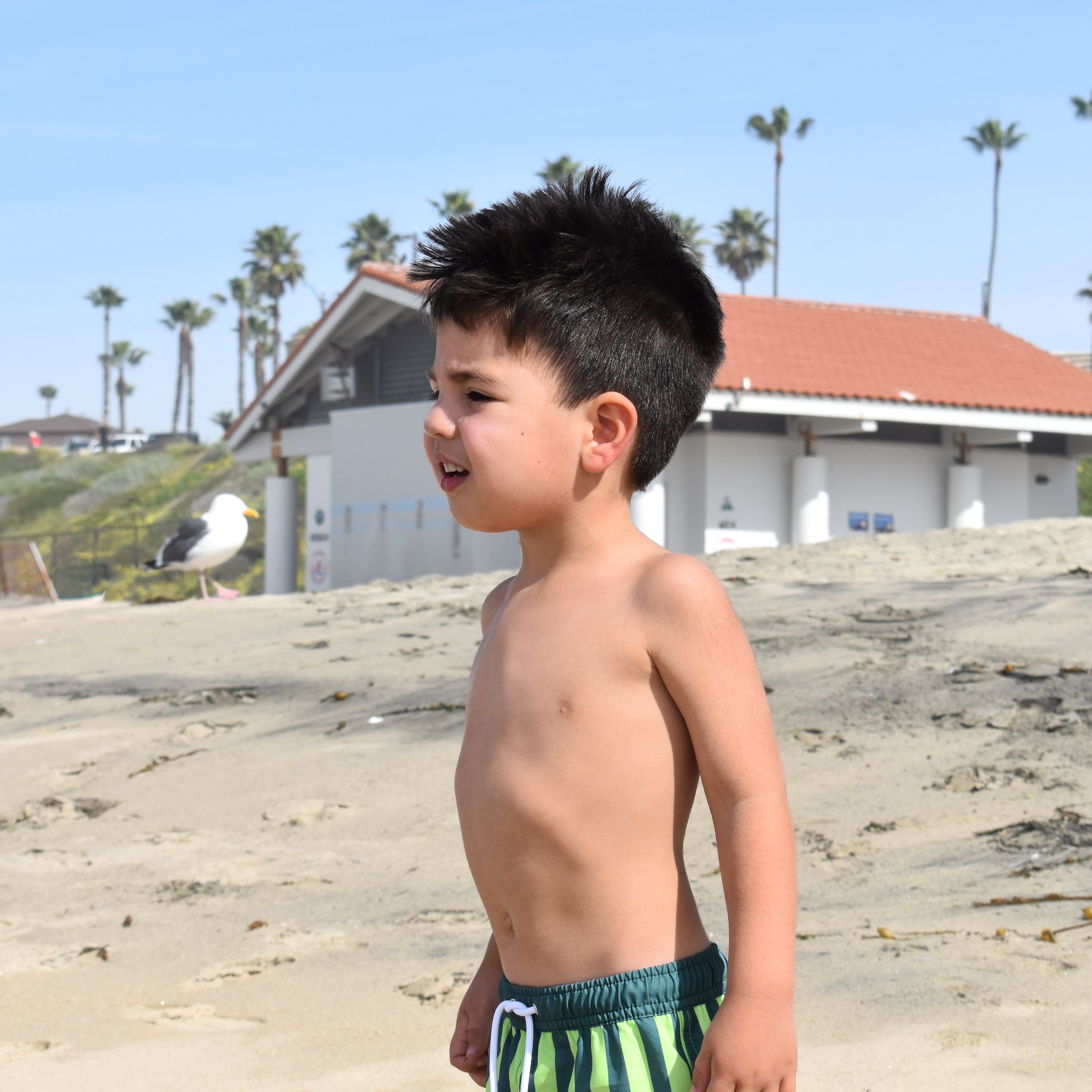 Young boy in lime green and dark striped swim shorts standing on a sandy beach with palm trees and a building in the background.