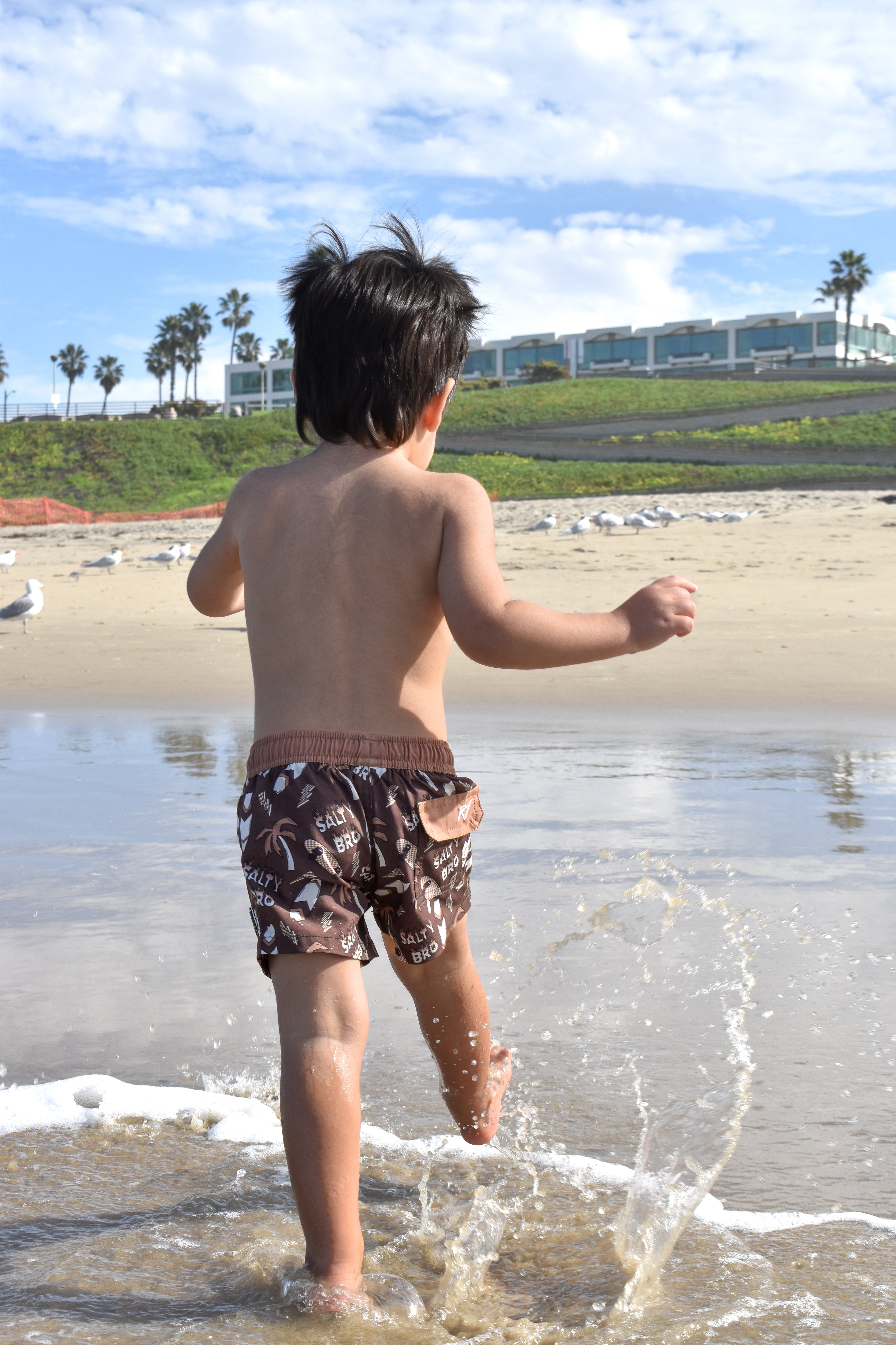 Child playing in shallow water at the beach while wearing Rad Toddler swimmies with palm trees and buildings in the background.